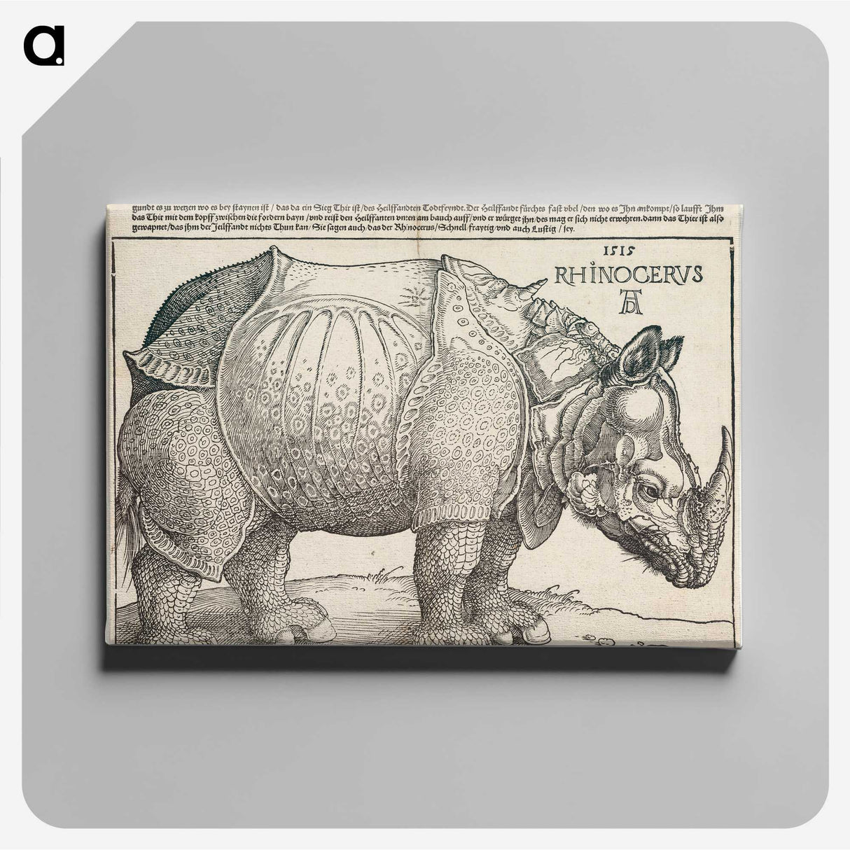 1-94_Albrecht-Durer_canvas