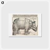 アートポストカード-The Rhinoceros - アルブレヒト デューラー Postcard.