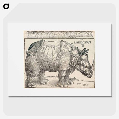 アートポスター-The Rhinoceros - アルブレヒト デューラー Poster.