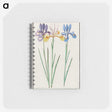 1-94_Anselmus-Boetius-de-Boodt_memo