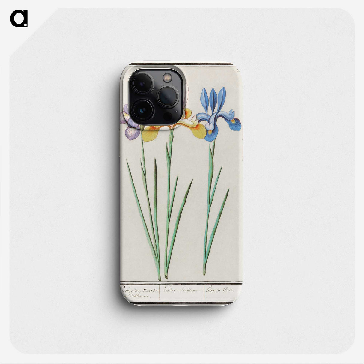 1-94_Anselmus-Boetius-de-Boodt_phone