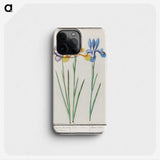 1-94_Anselmus-Boetius-de-Boodt_phone