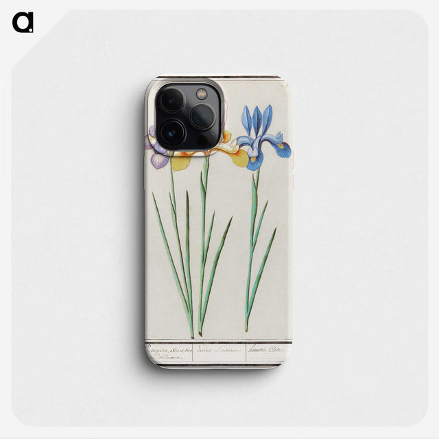 1-94_Anselmus-Boetius-de-Boodt_phone