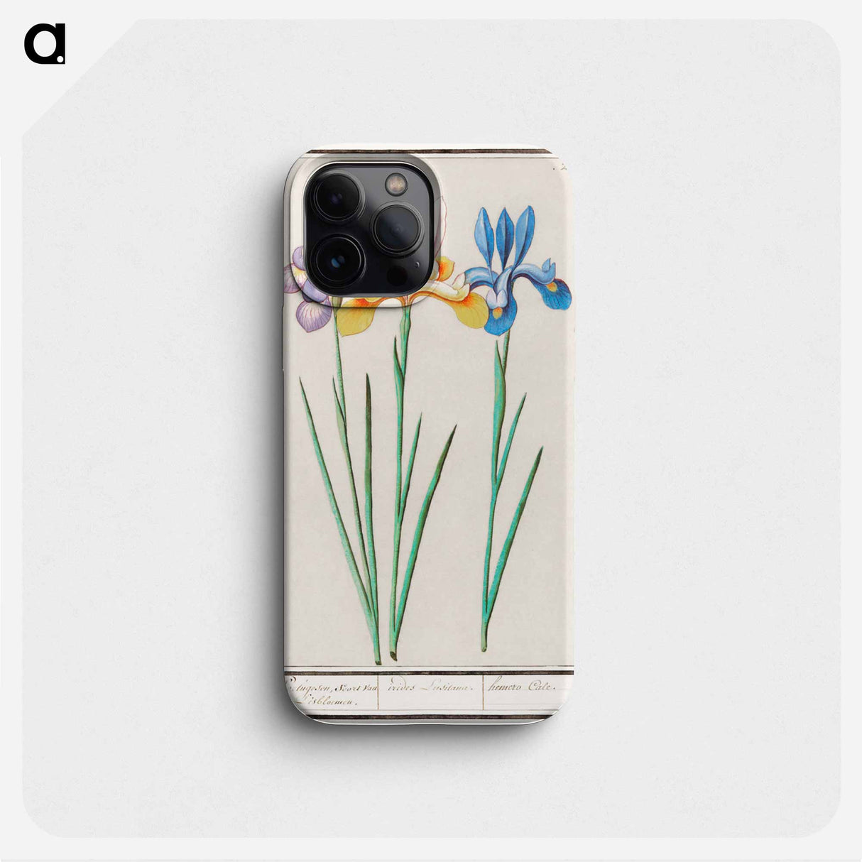 Iris - アンセルムス ボエティウス デ ブート Phone Case.