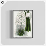 1-94_Botanical-Specimen-Plates_blk-crop