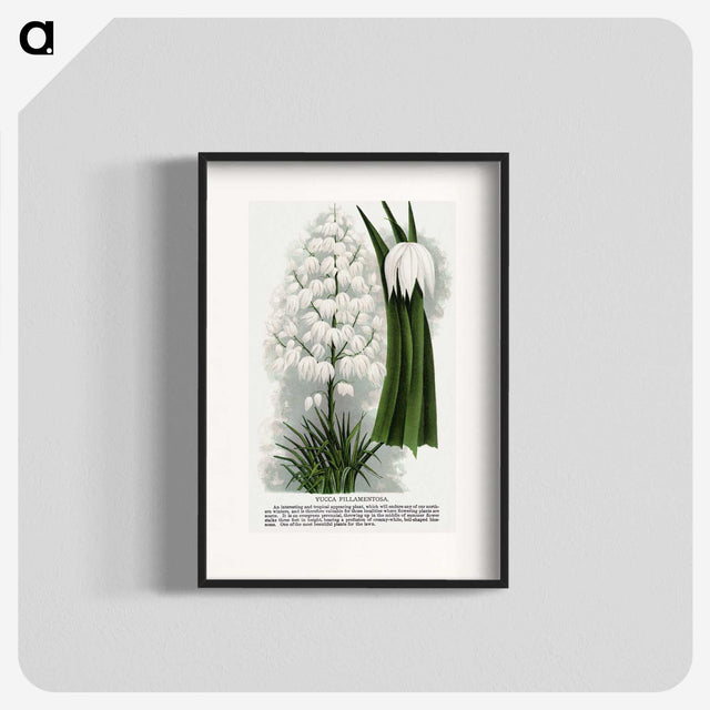 1-94_Botanical-Specimen-Plates_blk