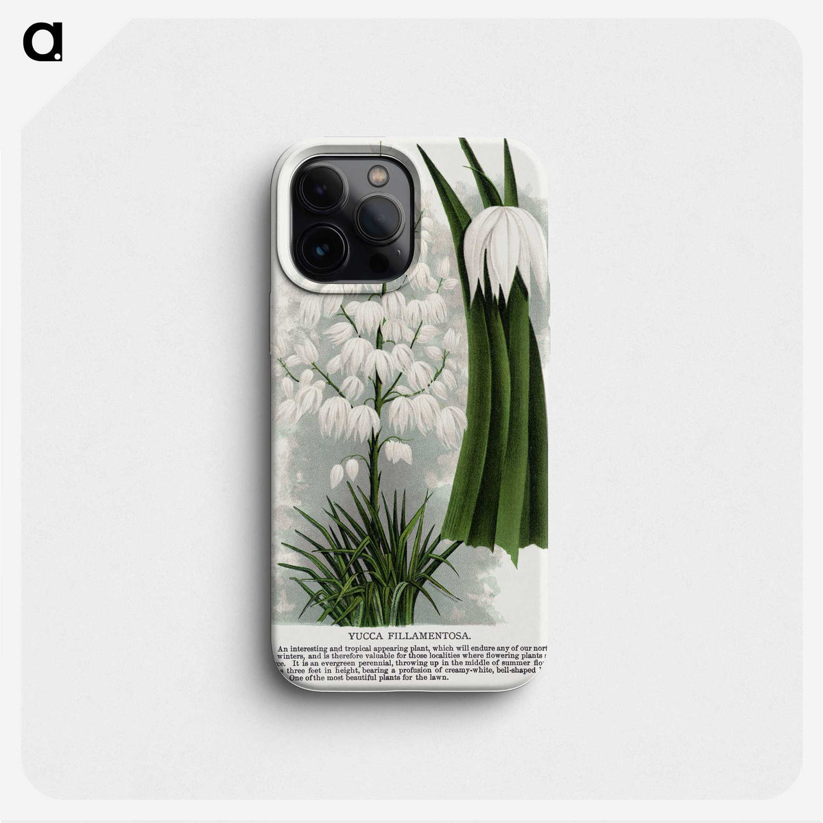 1-94_Botanical-Specimen-Plates_phone