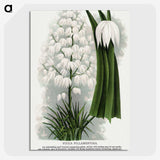 1-94_Botanical-Specimen-Plates_picture-crop