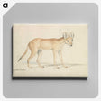 1-94_Charles-Hamilton-Smith_canvas