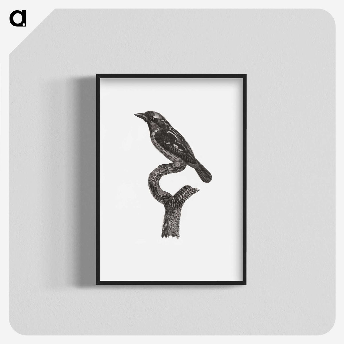 1-94_Des-Oiseaux-de-Paradis_blk-crop