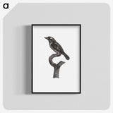 1-94_Des-Oiseaux-de-Paradis_blk-crop
