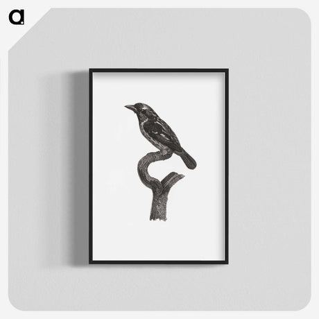 1-94_Des-Oiseaux-de-Paradis_blk-crop