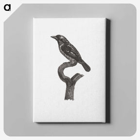 1-94_Des-Oiseaux-de-Paradis_canvas