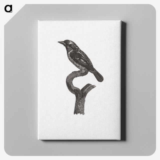 1-94_Des-Oiseaux-de-Paradis_canvas