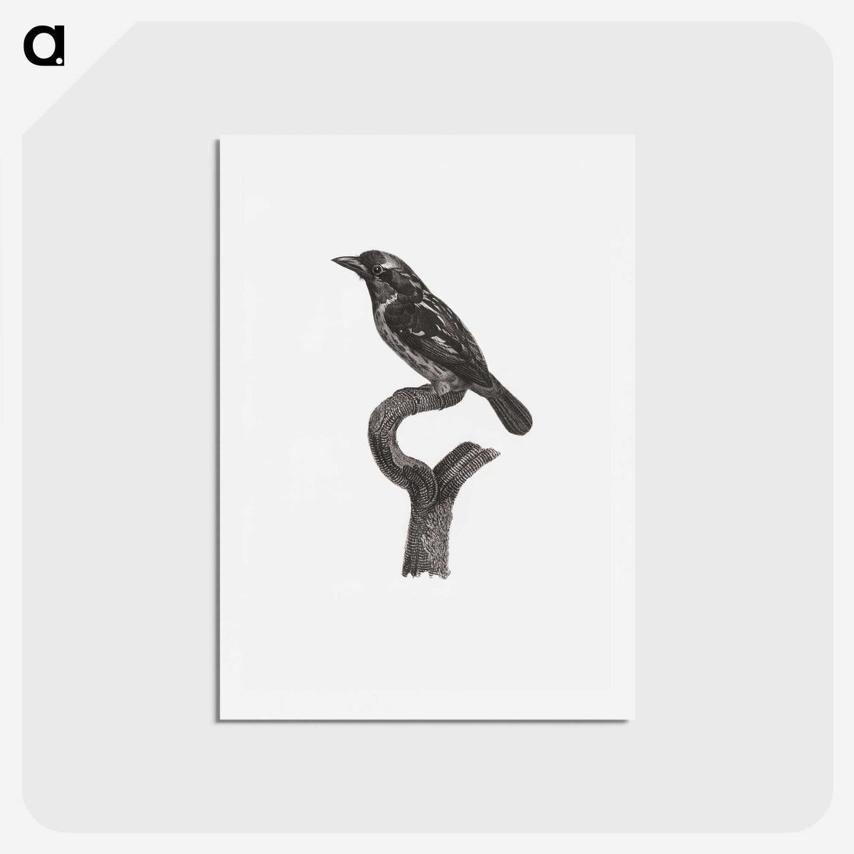 1-94_Des-Oiseaux-de-Paradis_hagaki