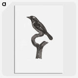 1-94_Des-Oiseaux-de-Paradis_picture-crop