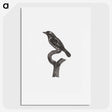 1-94_Des-Oiseaux-de-Paradis_picture