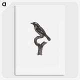 1-94_Des-Oiseaux-de-Paradis_picture