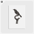 1-94_Des-Oiseaux-de-Paradis_postcard