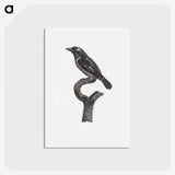 1-94_Des-Oiseaux-de-Paradis_postcard