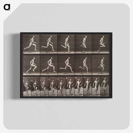 1-94_Eadweard-Muybridge_blk-crop
