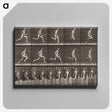1-94_Eadweard-Muybridge_canvas