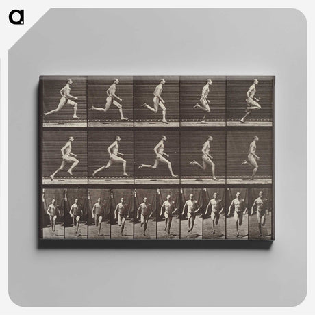 1-94_Eadweard-Muybridge_canvas