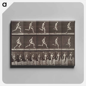 アートパネル-Animal Locomotion Plate 60
 - エドワード マイブリッジ Canvas.
