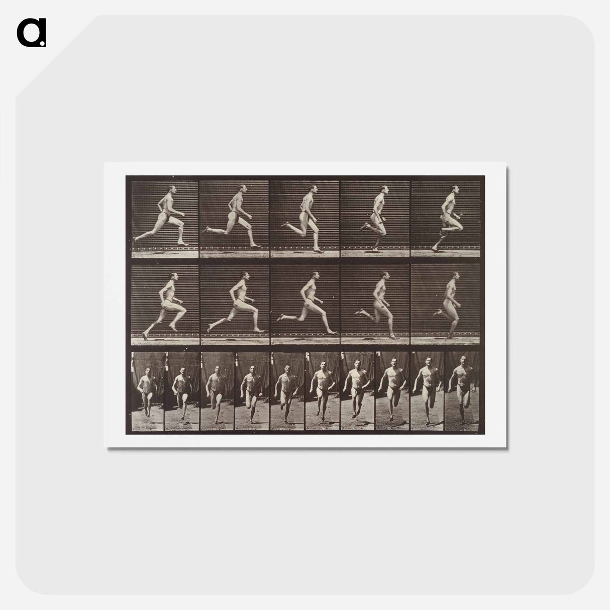 アートポストカード-Animal Locomotion Plate 60
 - エドワード マイブリッジ Postcard.