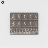 1-94_Eadweard-Muybridge_memo