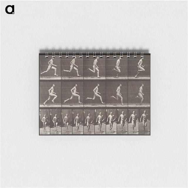 1-94_Eadweard-Muybridge_memo