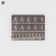 アートメモ帳-Animal Locomotion Plate 60
 - エドワード マイブリッジ Memo.