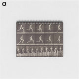 アートメモ帳-Animal Locomotion Plate 60
 - エドワード マイブリッジ Memo.