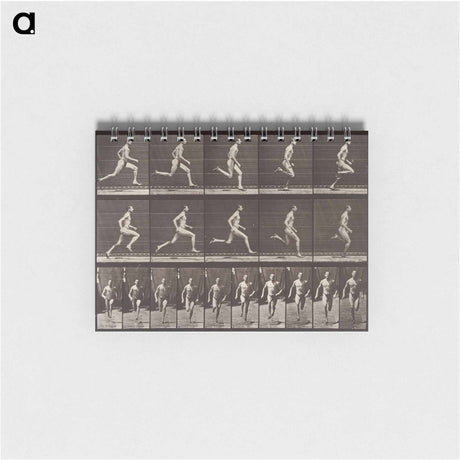 アートメモ帳-Animal Locomotion Plate 60
 - エドワード マイブリッジ Memo.