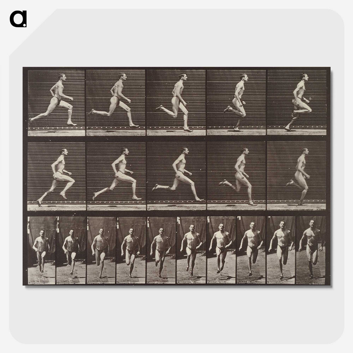 1-94_Eadweard-Muybridge_picture-crop