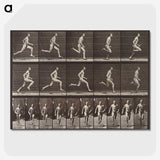 1-94_Eadweard-Muybridge_picture-crop