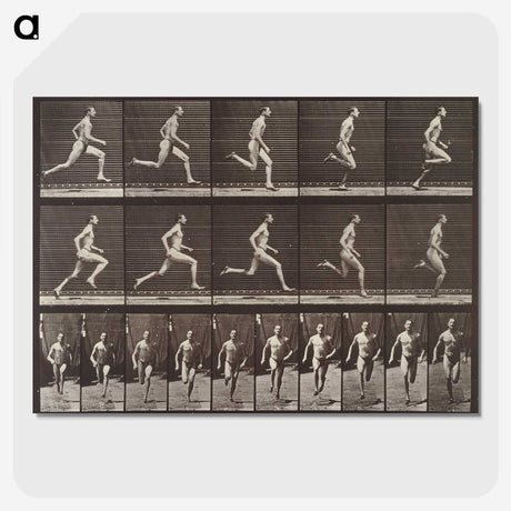 1-94_Eadweard-Muybridge_picture-crop