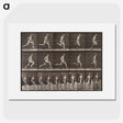 1-94_Eadweard-Muybridge_picture
