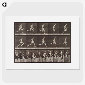 1-94_Eadweard-Muybridge_picture