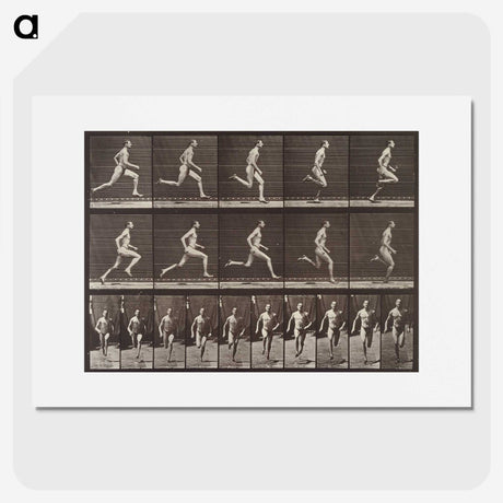 1-94_Eadweard-Muybridge_picture