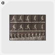 1-94_Eadweard-Muybridge_postcard
