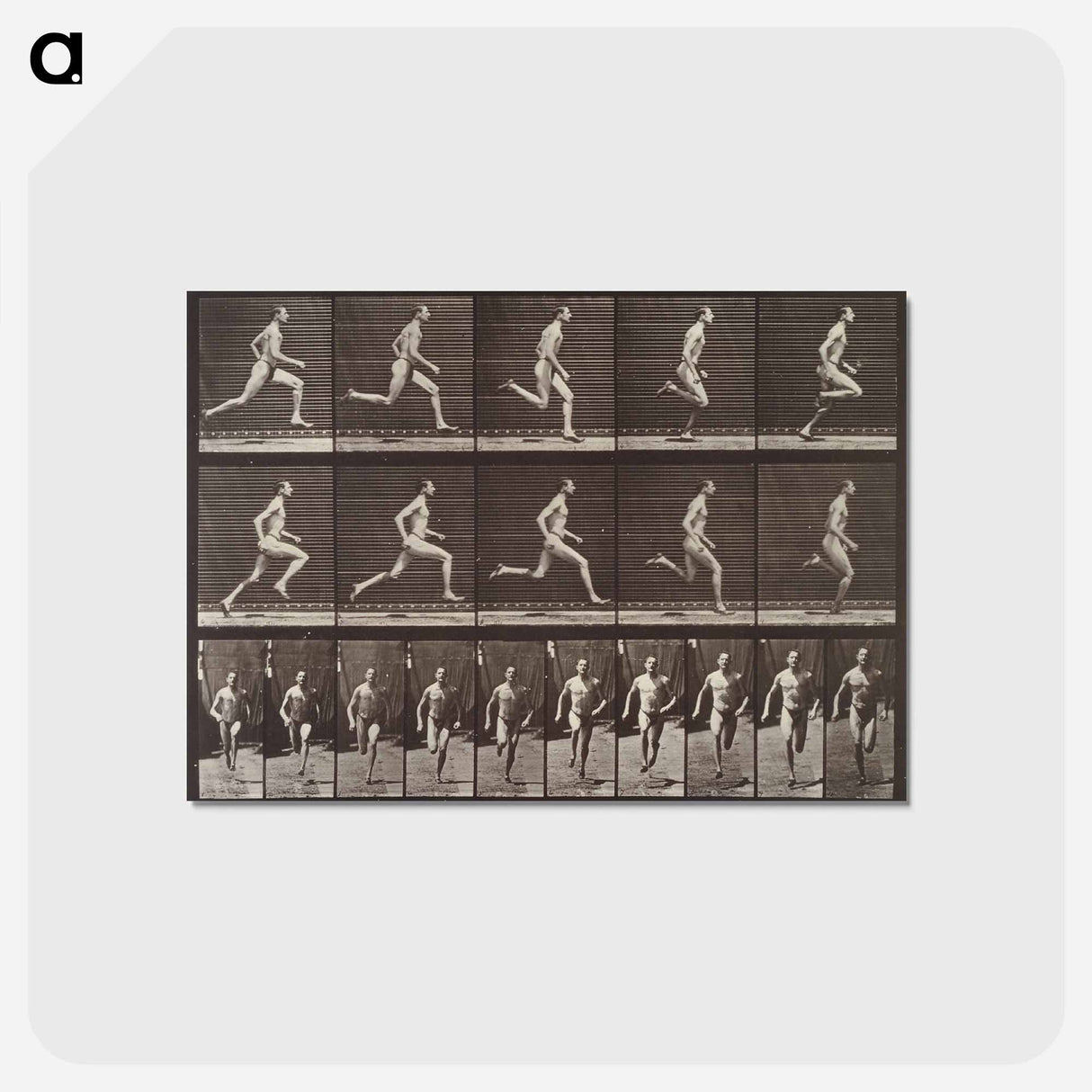 アートポストカード-Animal Locomotion Plate 60
 - エドワード マイブリッジ Postcard.