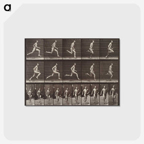 1-94_Eadweard-Muybridge_postcard
