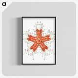 1-94_Ernst-Haeckel_blk-crop
