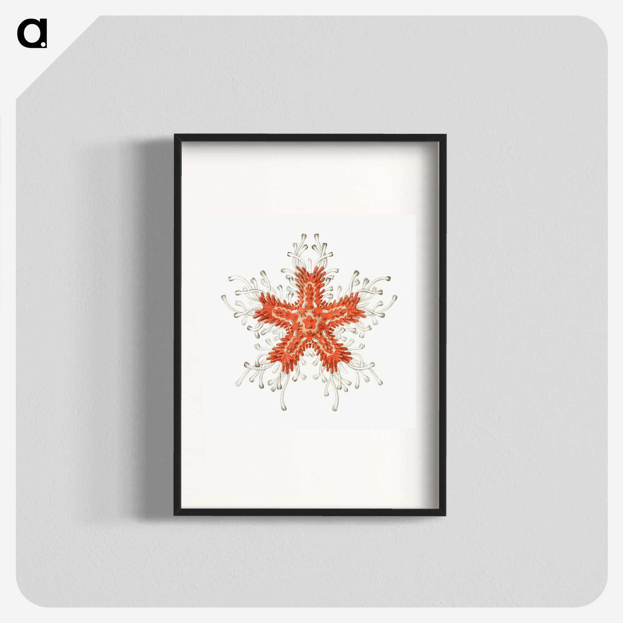 1-94_Ernst-Haeckel_blk