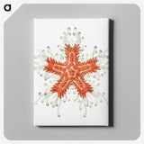 1-94_Ernst-Haeckel_canvas