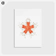 アートポストカード-Vintage starfish marine life illustration - エルンスト ヘッケル Postcard.