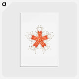 アートポストカード-Vintage starfish marine life illustration - エルンスト ヘッケル Postcard.