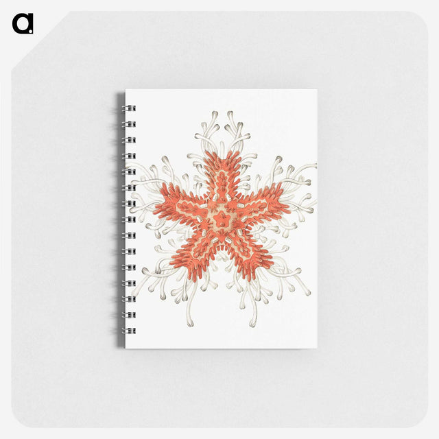 1-94_Ernst-Haeckel_memo