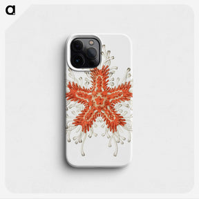1-94_Ernst-Haeckel_phone